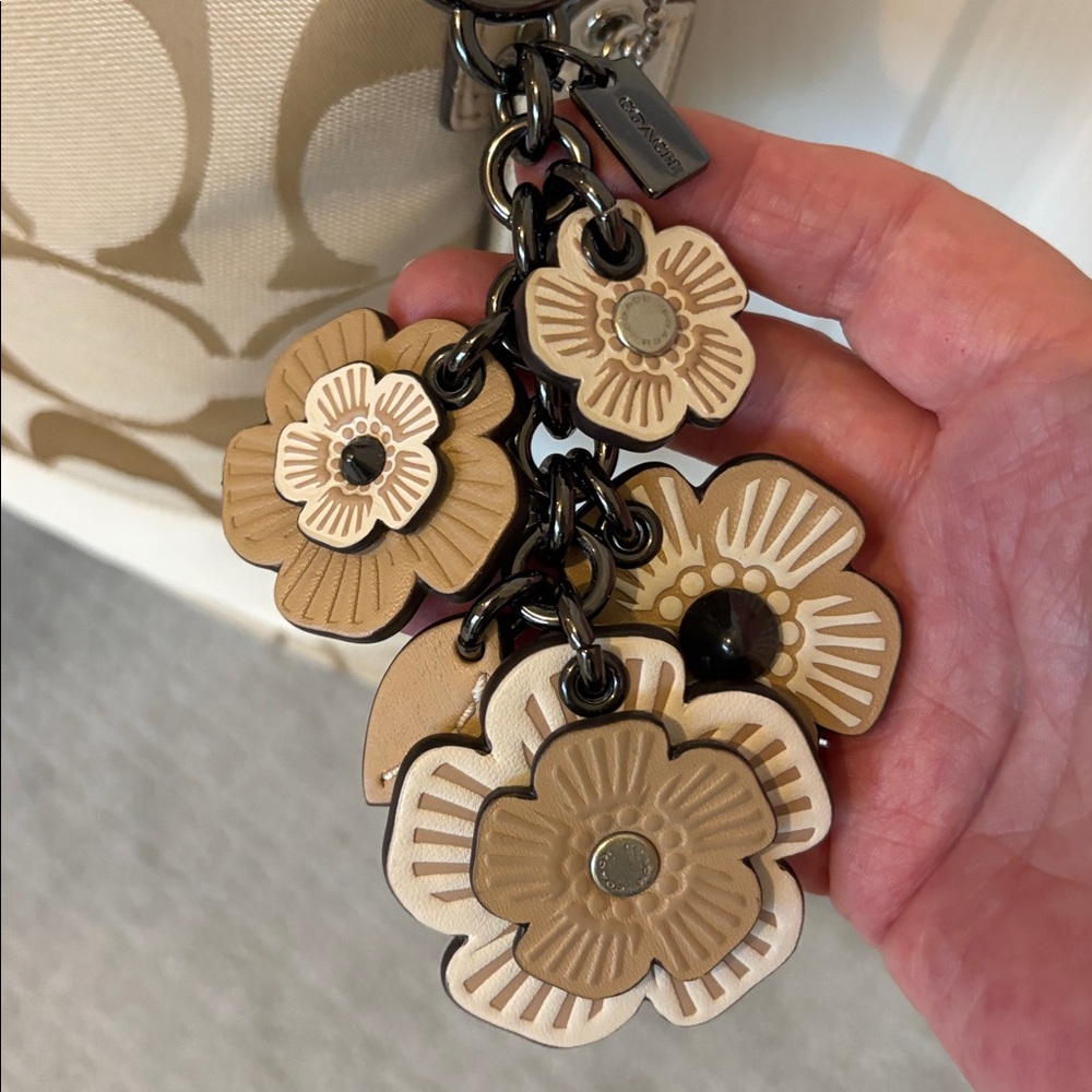 Coach Heritage Stripe Beige with all the Things! - Picture 5 of 14